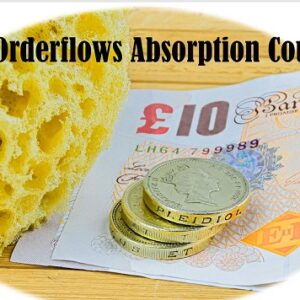 the-orderflows-absorption-course